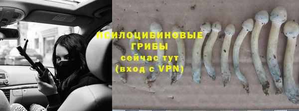 MESCALINE Переславль-Залесский