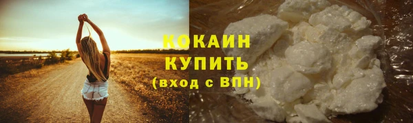 круглые Гусев