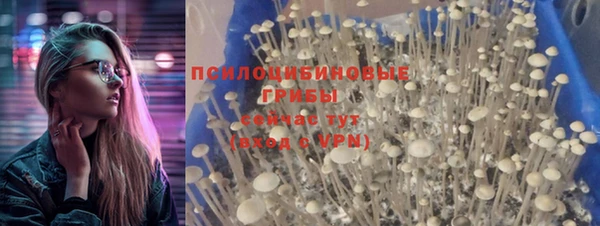 а пвп мука Осинники