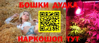 каннабис Гай