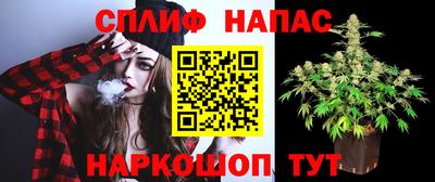 каннабис Гатчина