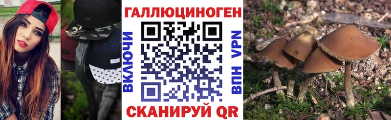 Псилоцибиновые грибы ЛСД  Кыштым 