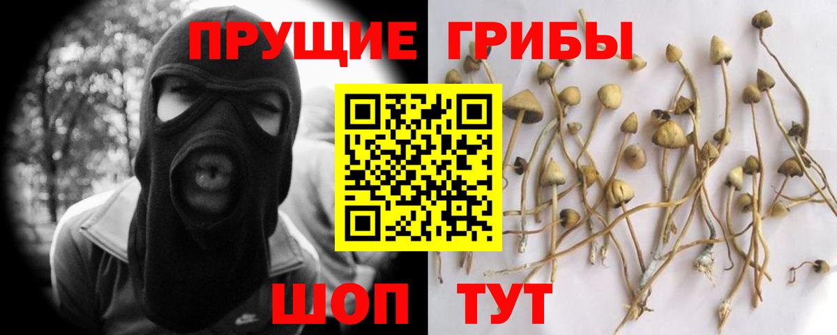 Галлюциногенные грибы прущие грибы  Псилоцибиновые грибы Cubensis  Вход с VPN  Кыштым 