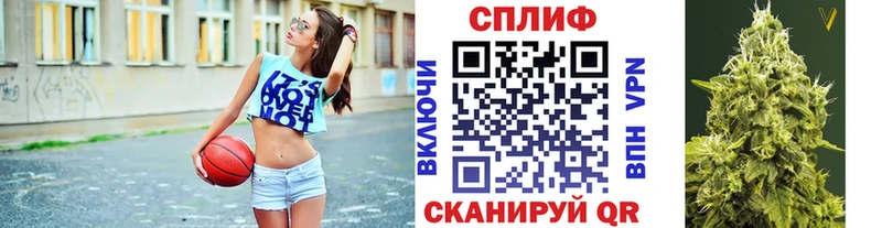 Канабис планчик  даркнет сайт  mega ONION  Кыштым 